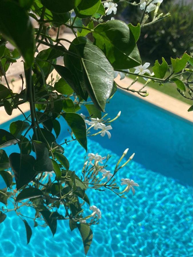 Beautiful Villa With Pool, Barbecue, And Garden Xabia Bagian luar foto